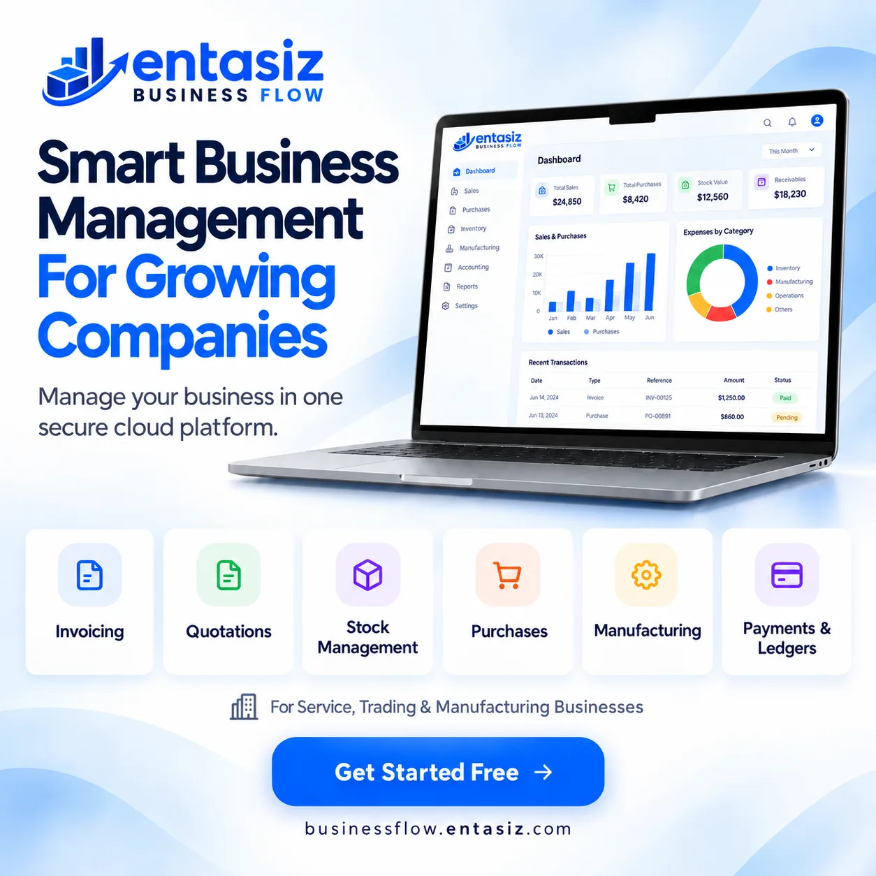 Entasiz Business Flow product overview